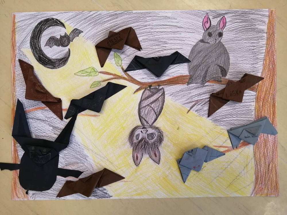 Literární soutěž „O netopýrech“