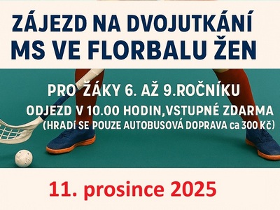 Zájezd na MS ve florbalu žen