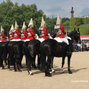 horse-guardsparade.jpg