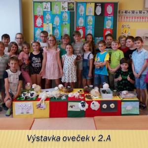 vystavka-ovecek-v-2.jpg