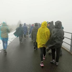 72a8ebbe-32a8-4078-9484-c6f1f5dabcd2.jpg